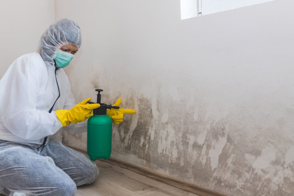 Mold Removal-los angeles
