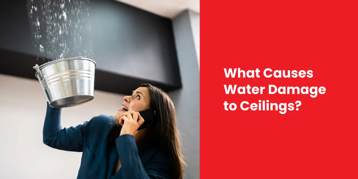 What Causes Water Damage to Ceilings What Causes Water Damage to Ceilings