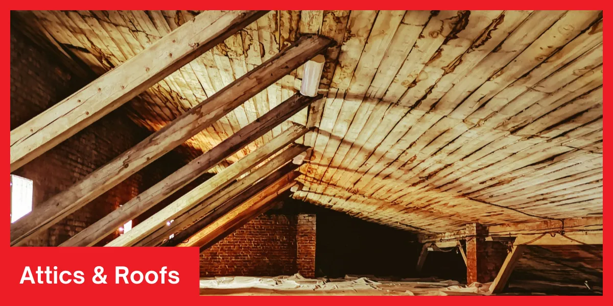 Attics Roofs Restoration Company in Los Angeles, CA