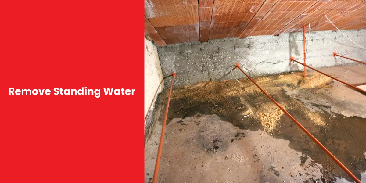 Remove Standing Water Standing water in a crawl space with drainage pipes installed to remove water buildup.