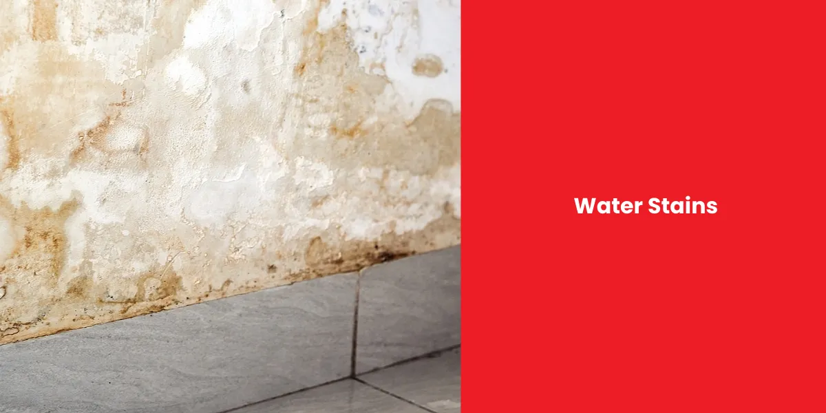 Water Stains Water Stains