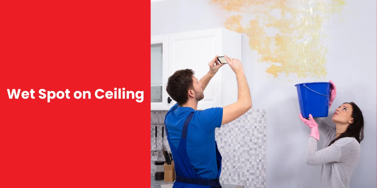 Wet Spot on Ceiling Wet Spot on Ceiling