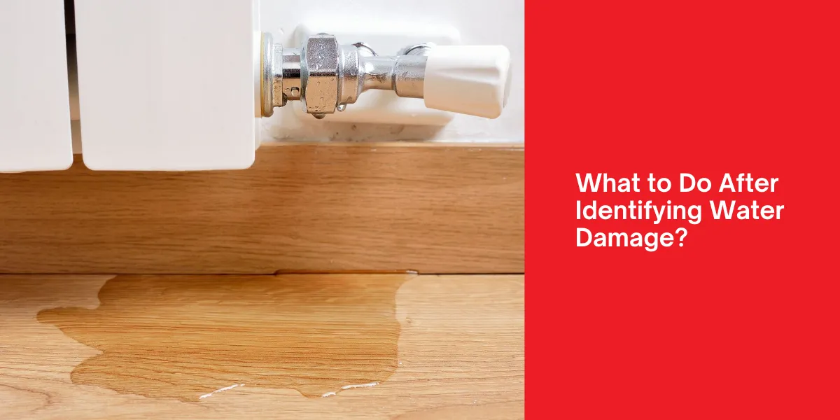 What to Do After Identifying Water Damage What to Do After Identifying Water Damage