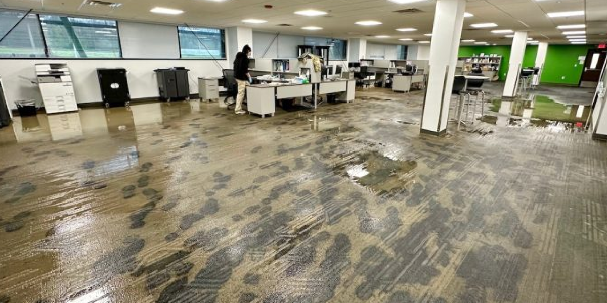 Act Fast to Reduce Damage