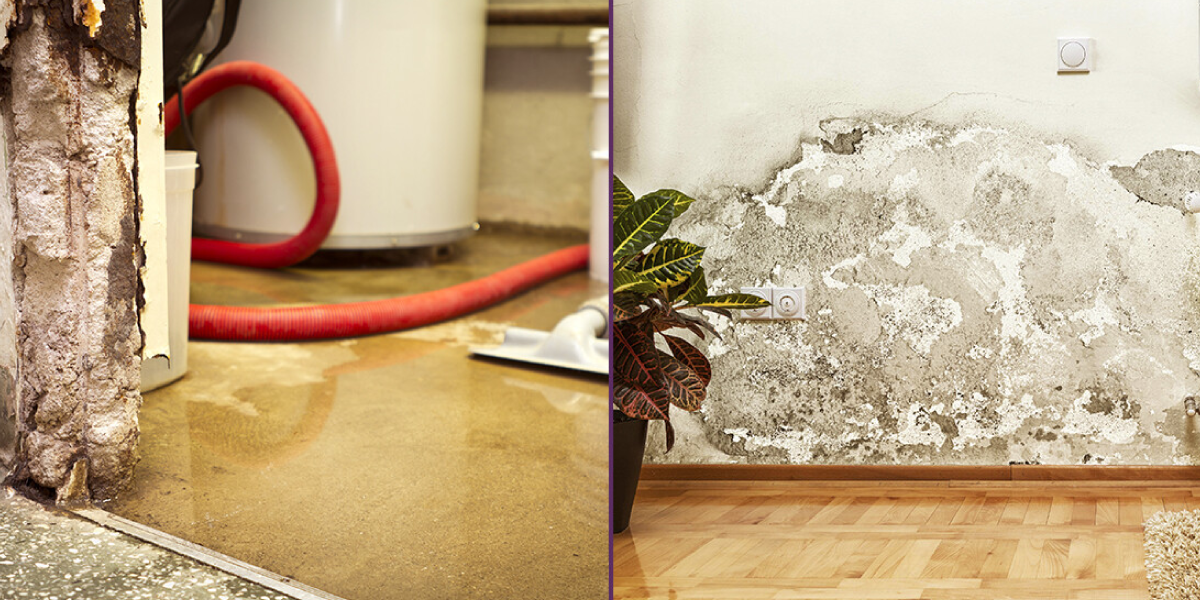 Blackwater Spreads Bacteria Viruses Blackwater Spreads Bacteria & Viruses