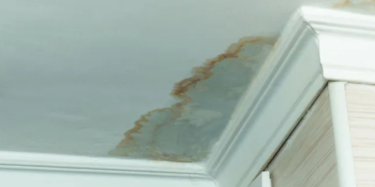 Roof Leaks Are a Big Deal