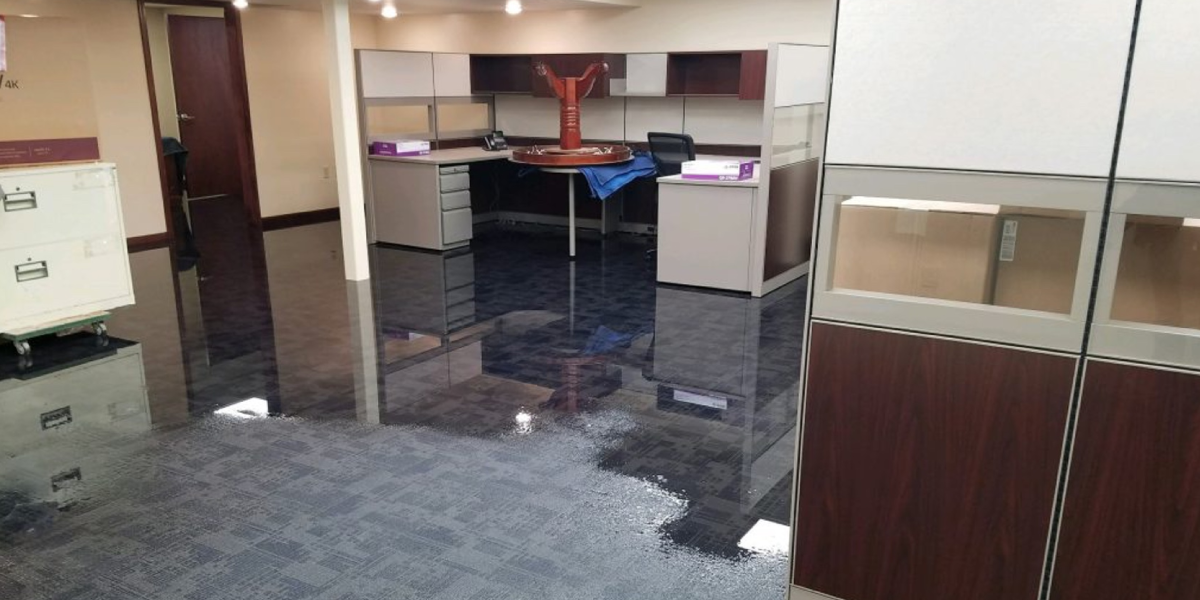 Water Extraction is Essential