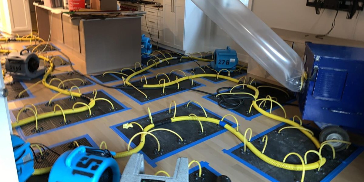 When Do You Need Water Mitigation