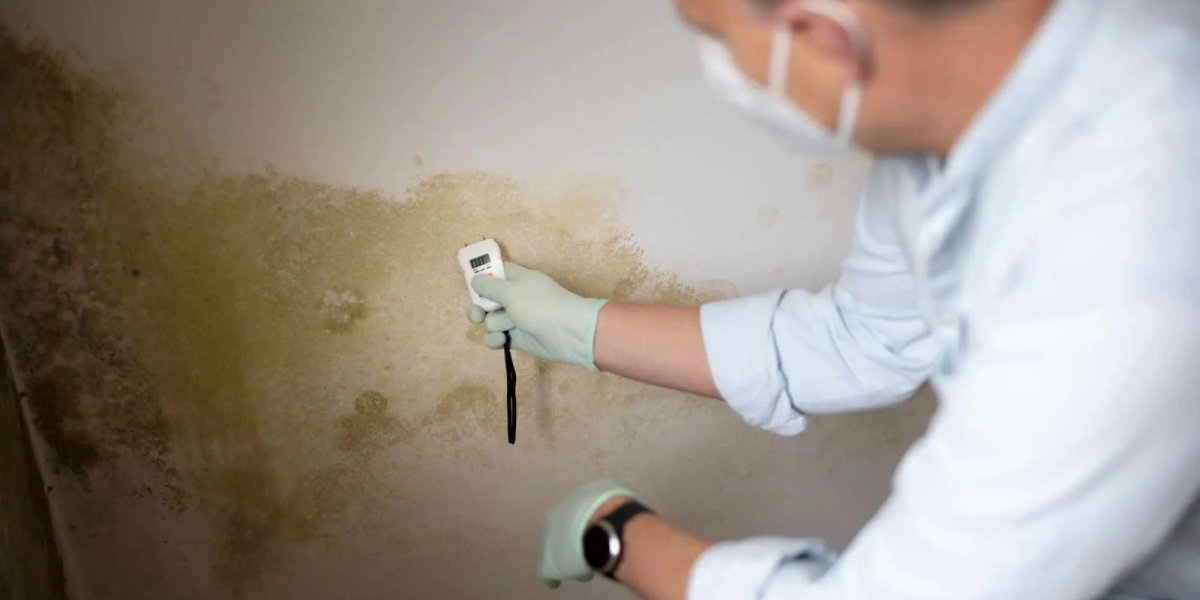 Why is Water Damage Assessment and Monitoring Important Why is Water Damage Assessment and Monitoring Important