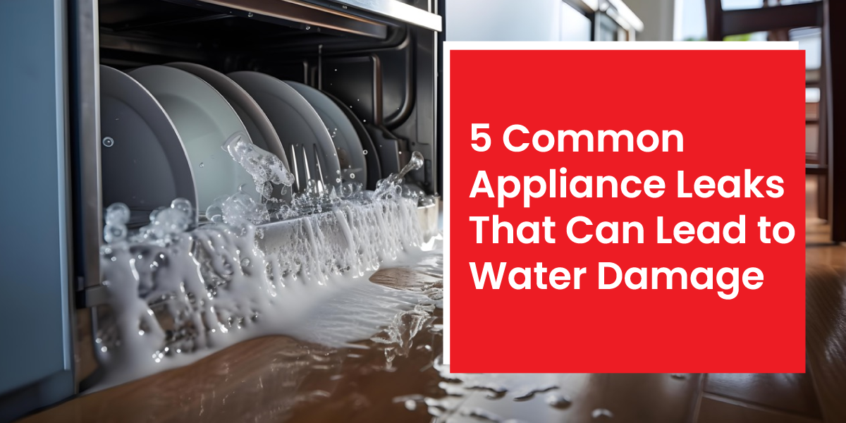 5 Common Appliance Leaks That Can Lead to Water Damage