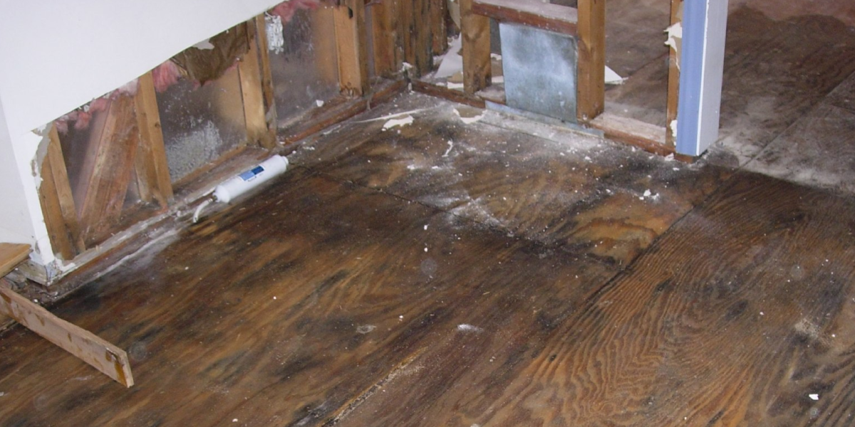 Deep Mold Treatment (If Needed)