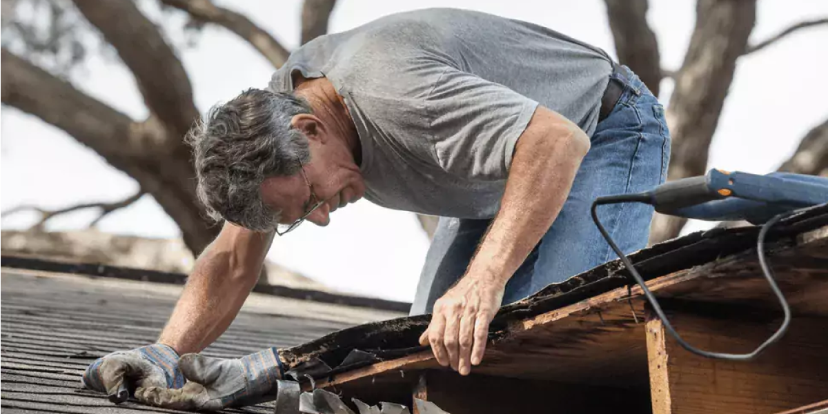 Inspect Your Roof Regularly Inspect Your Roof Regularly