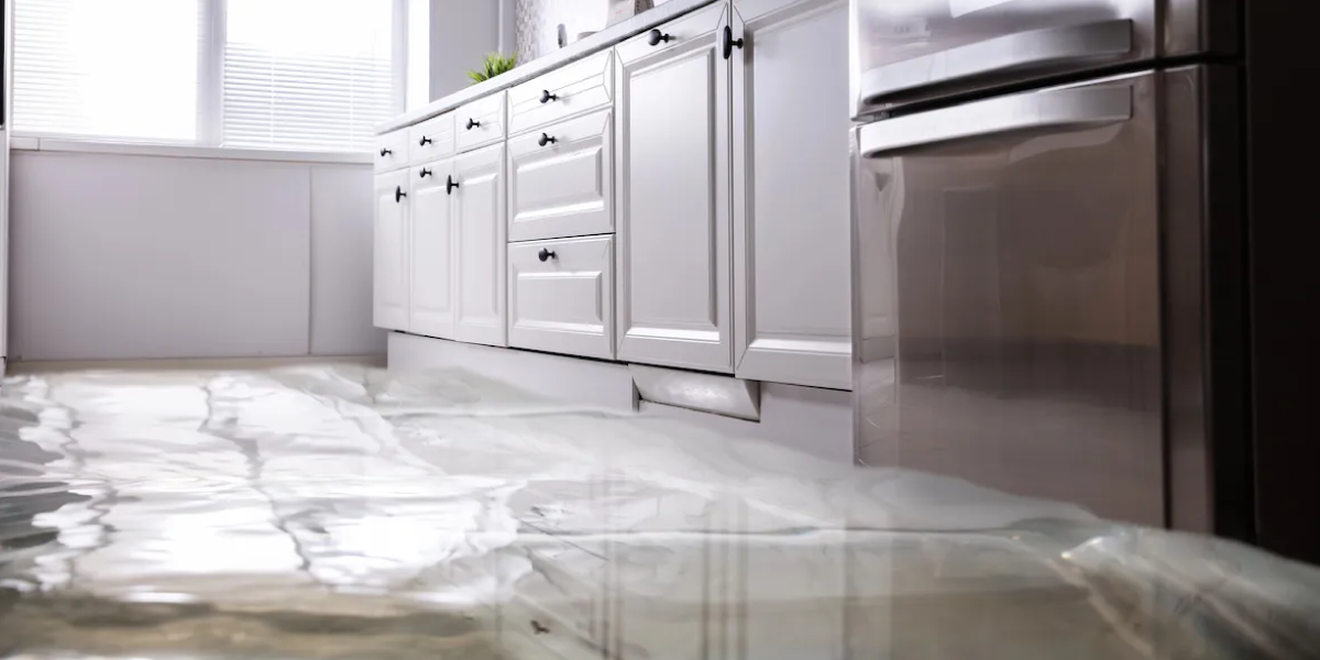 Refrigerator Leaks Refrigerator Leaks