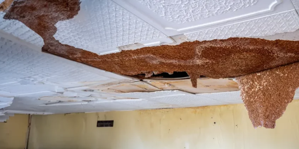 Remove the Damaged Material