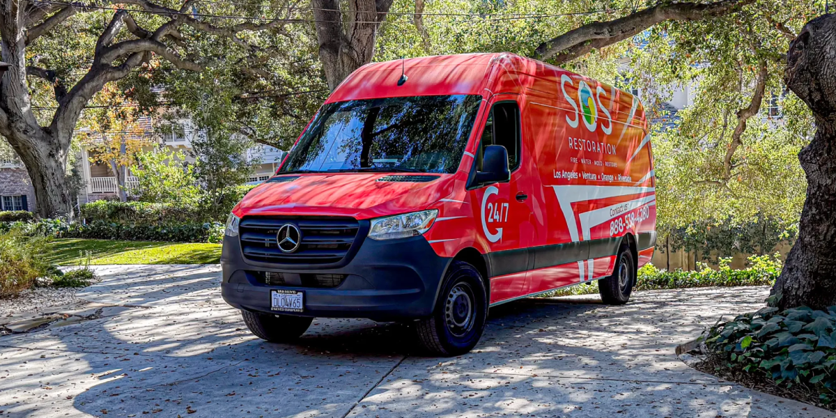 When Should You Call a Professional