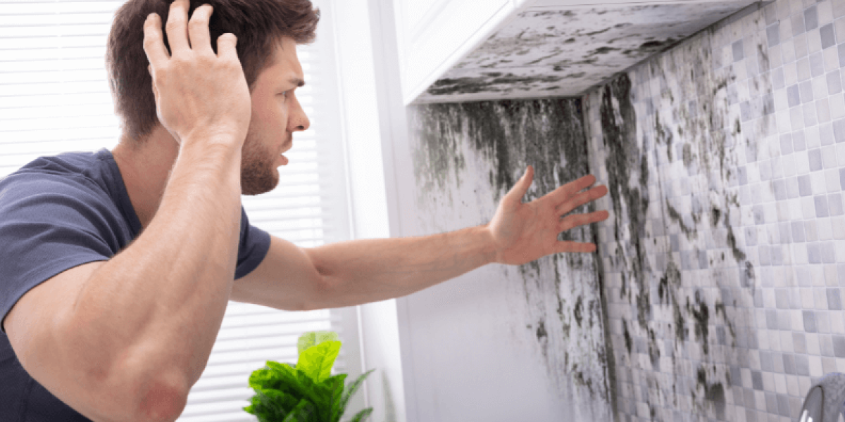 Why Mold Is a Big Problem