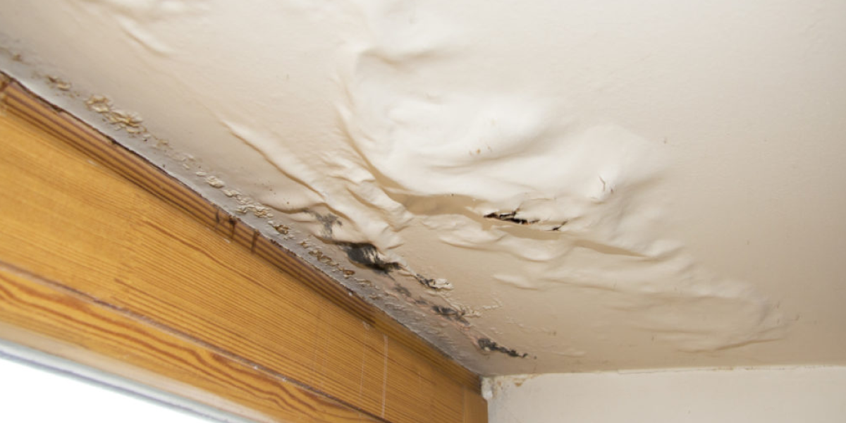 Common Causes of Ceiling Water Leaks Common Causes of Ceiling Water Leaks