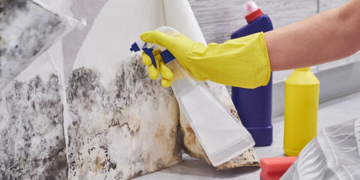 How to Clean Mold Without Bleach How to Clean Mold Without Bleach