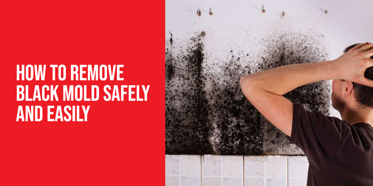 How to Remove Black Mold Safely and Easily