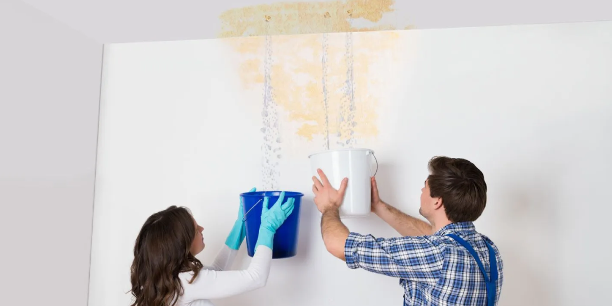 Now Who to Call for a Water Leak in the Ceiling Now, Who to Call for a Water Leak in the Ceiling?