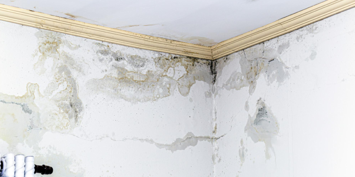 Preventing Future Ceiling Leaks Preventing Future Ceiling Leaks