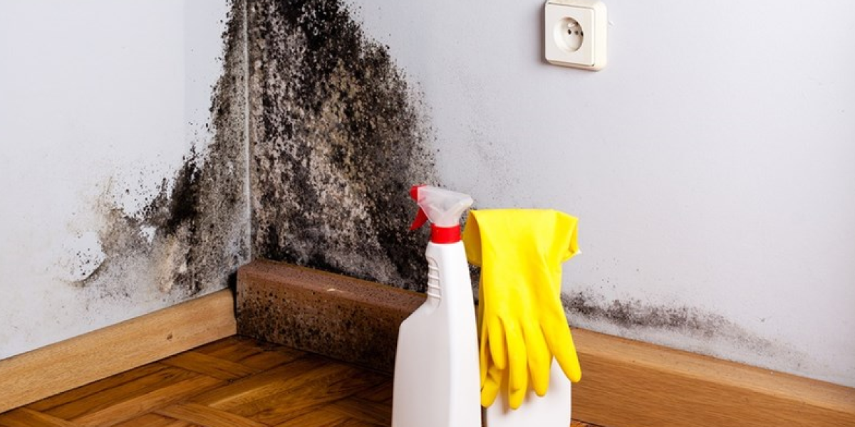 How to clean up mold on drywall