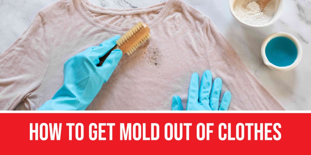 How to get mold out of clothes