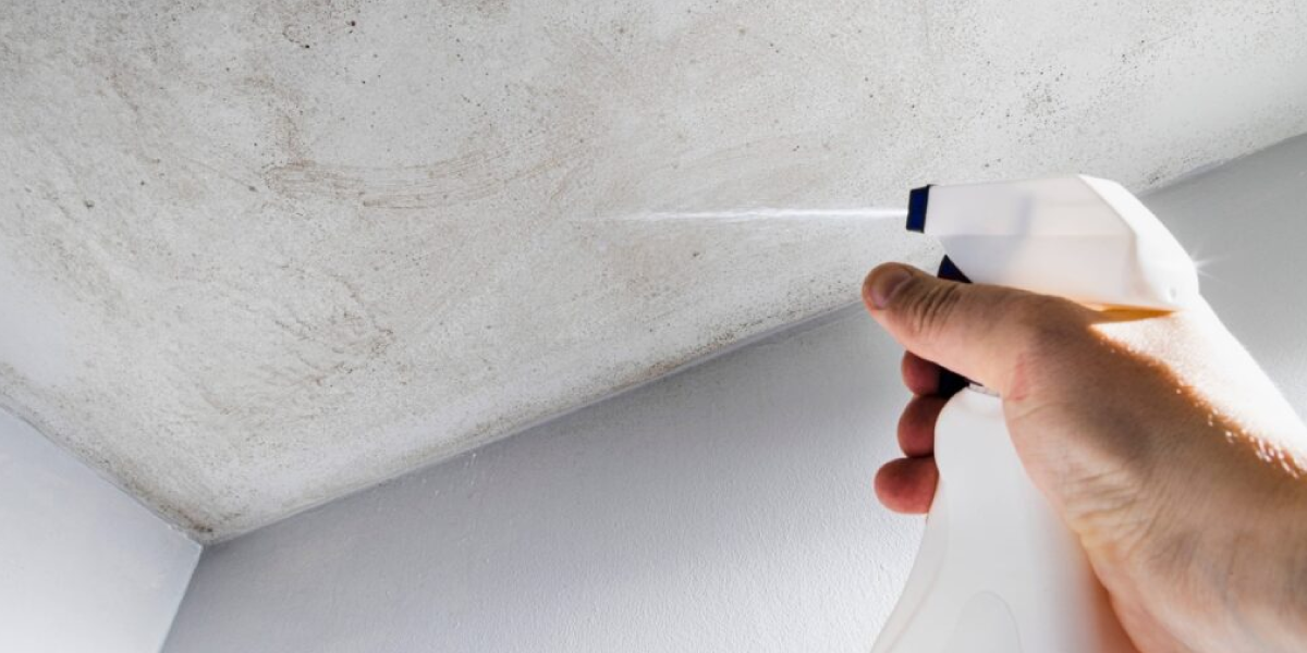 How to get rid of mold in bathroom ceiling How to get rid of mold in bathroom ceiling