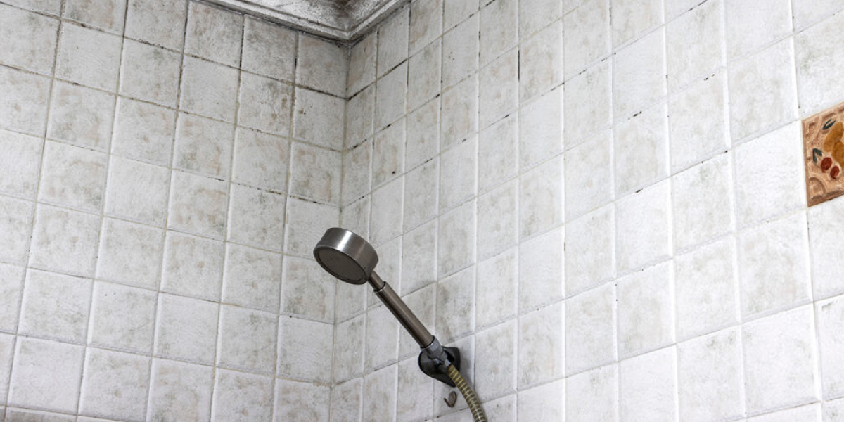 How to get rid of  mold in the shower with Bleach