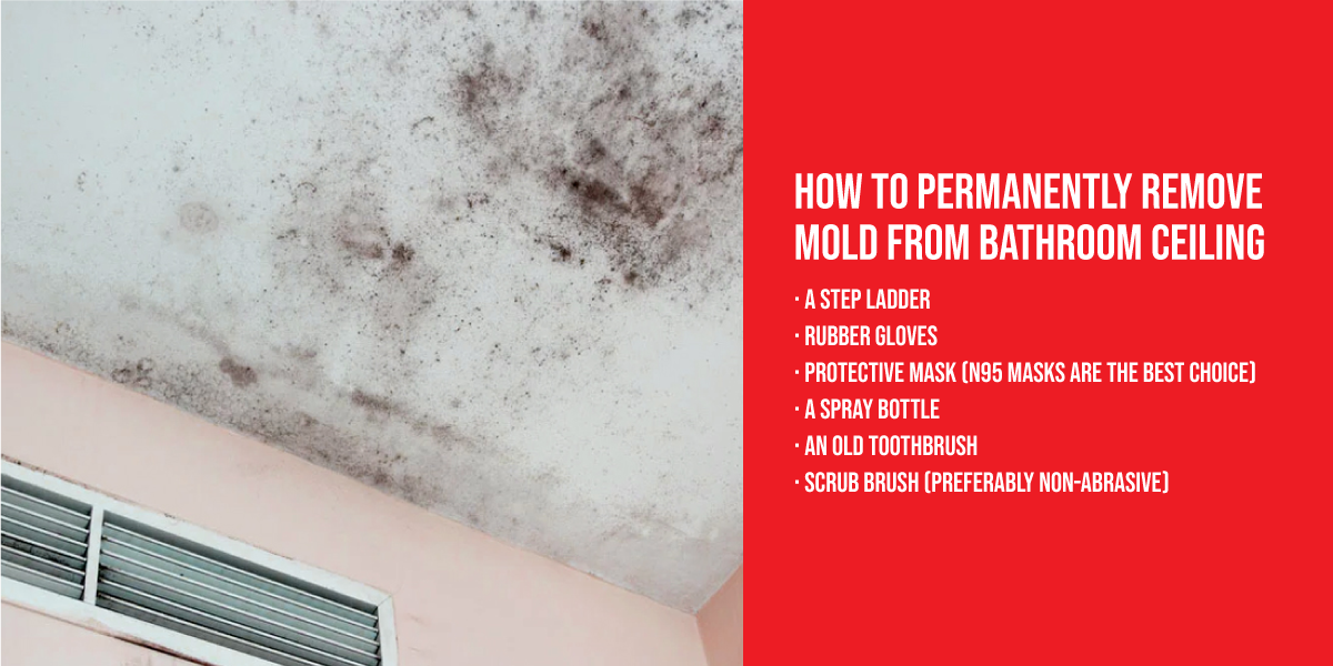 How to permanently remove mold from bathroom ceiling How to permanently remove mold from bathroom ceiling