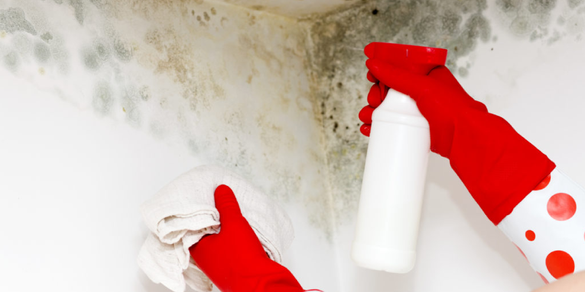 How to remove mold from ceiling in bathroom using vinegar How to remove mold from ceiling in bathroom using vinegar