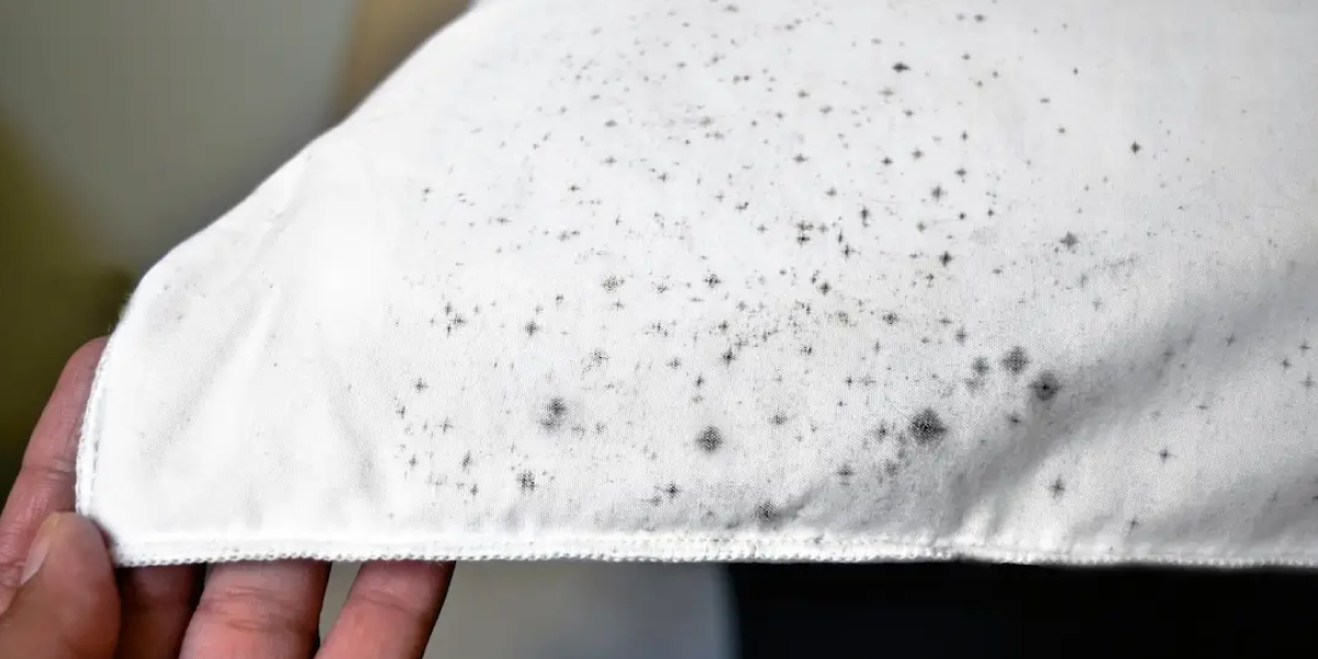 How to remove mold from clothing How to remove mold from clothing