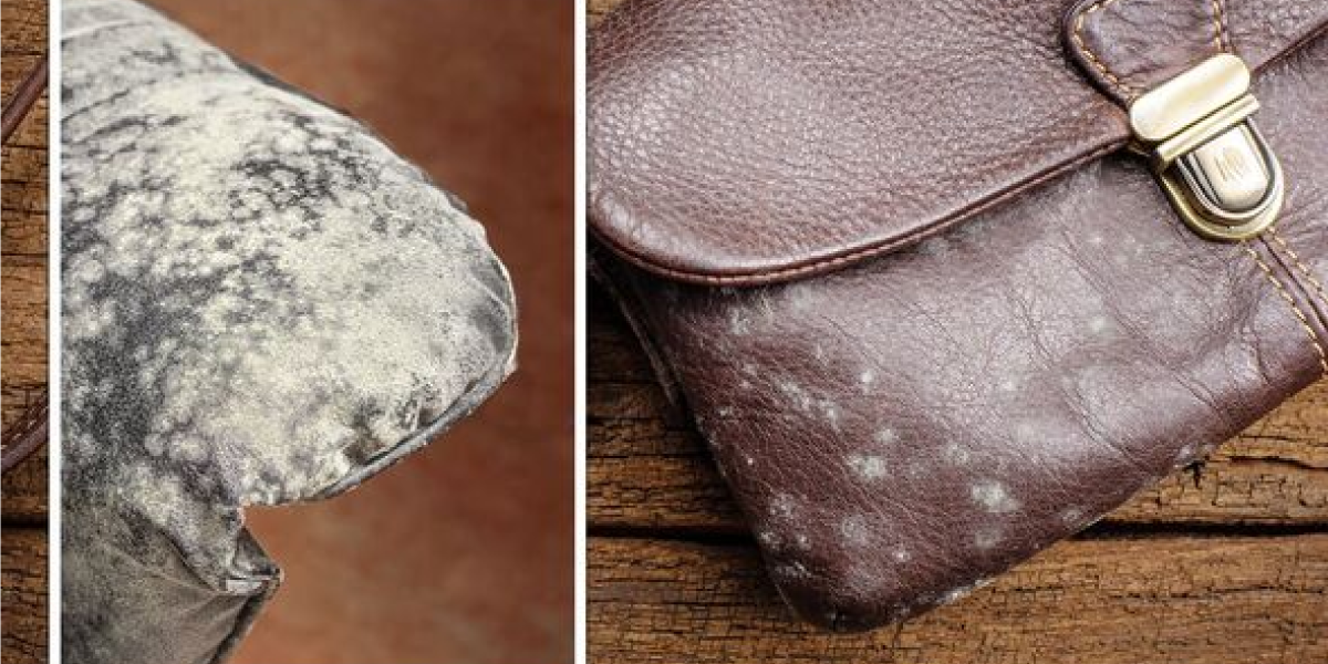 What is Mold on Leather