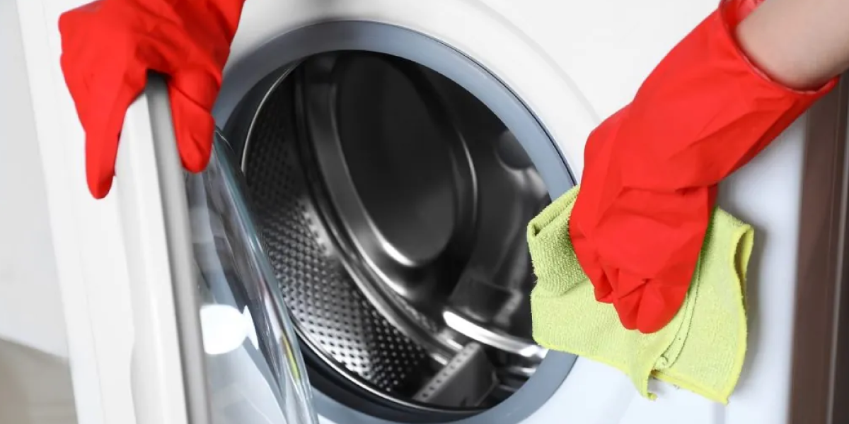 When Should You Call a Professional Mold Removal Company When Should You Call a Professional Mold Removal Company