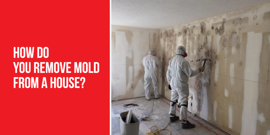 How do you remove mold from a house​