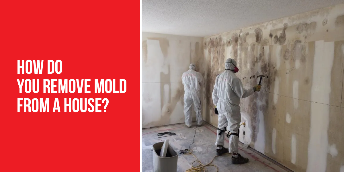 How do you remove mold from a house​