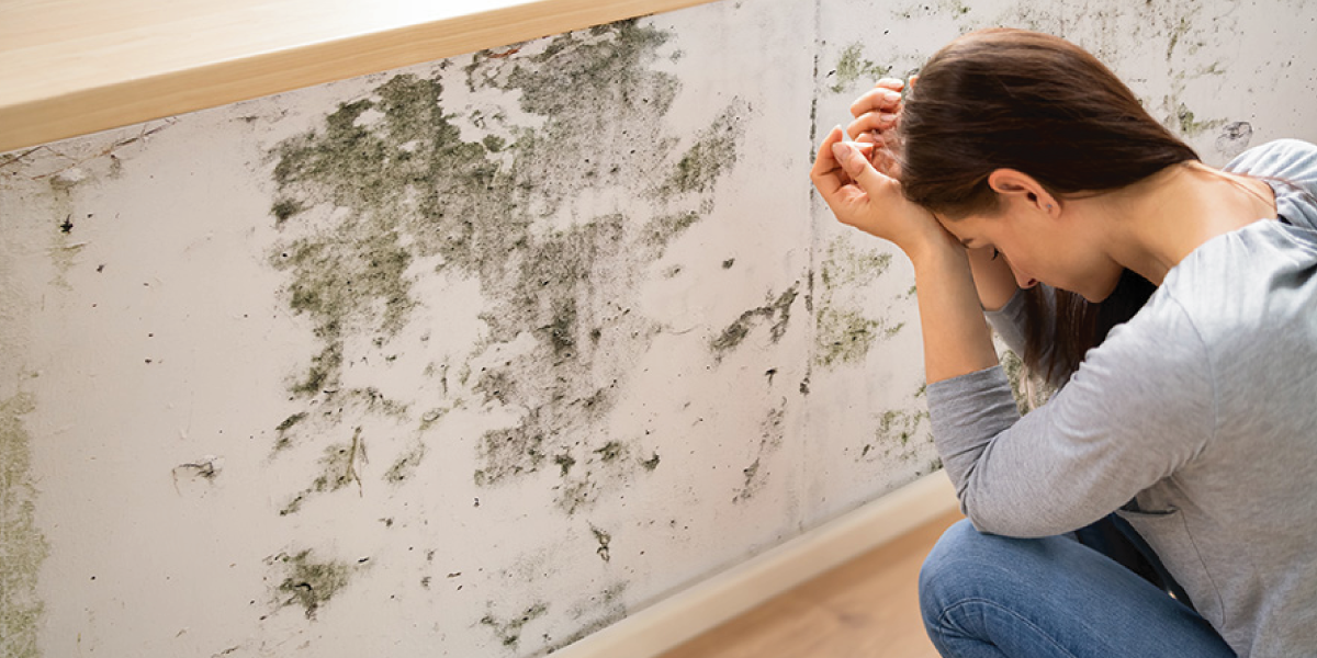 How to prevent mold exposure How to prevent mold exposure