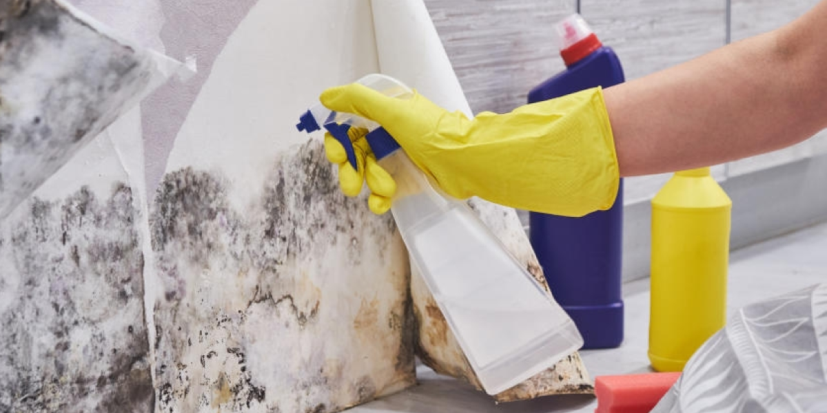 How to remove black mold and other kinds of mold How to remove black mold and other kinds of mold