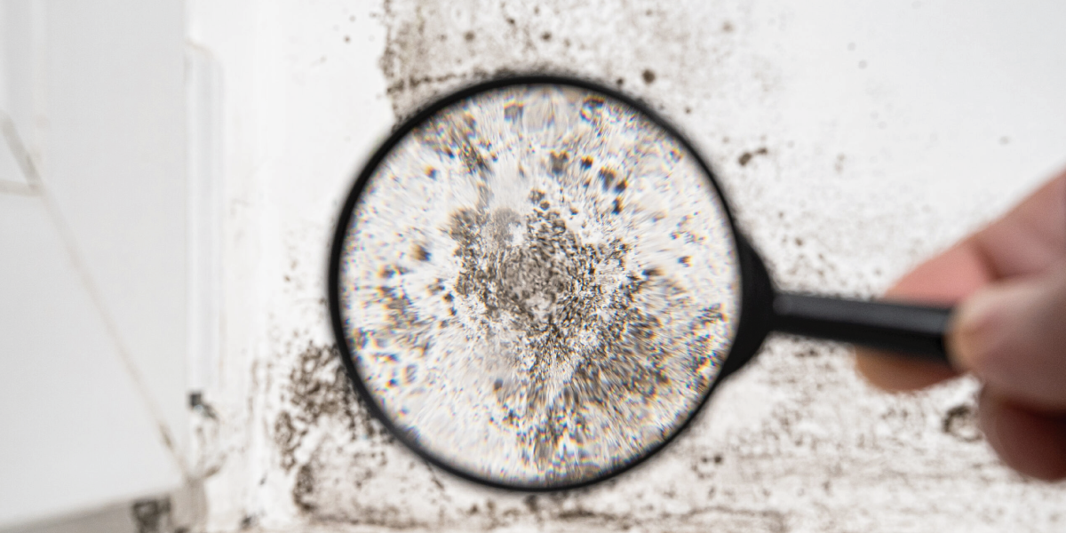 Symptoms of mold exposure Symptoms of mold exposure