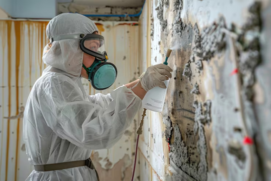 Mold Remediation Service Mold Remediation Service