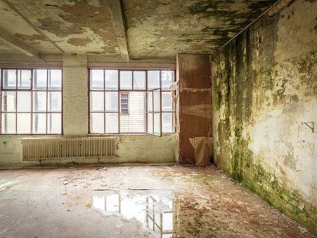 water damage restoration in Westminster